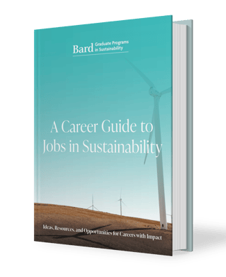 866263_-Christina- -Bard- eBook - A Career Guide to Jobs in Sustainability-mockup_101120-2
