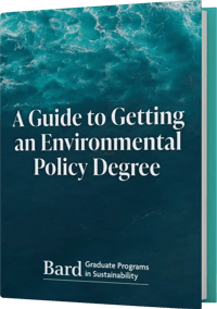 Bard-eBook-Cover-Mockup-UPDATE