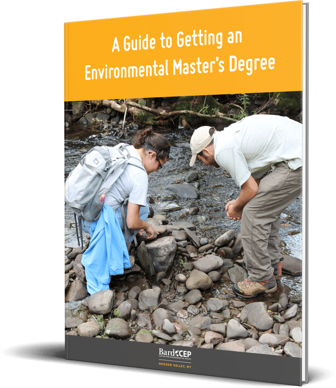 Download A Guide to Getting an Environmental Master's Degree