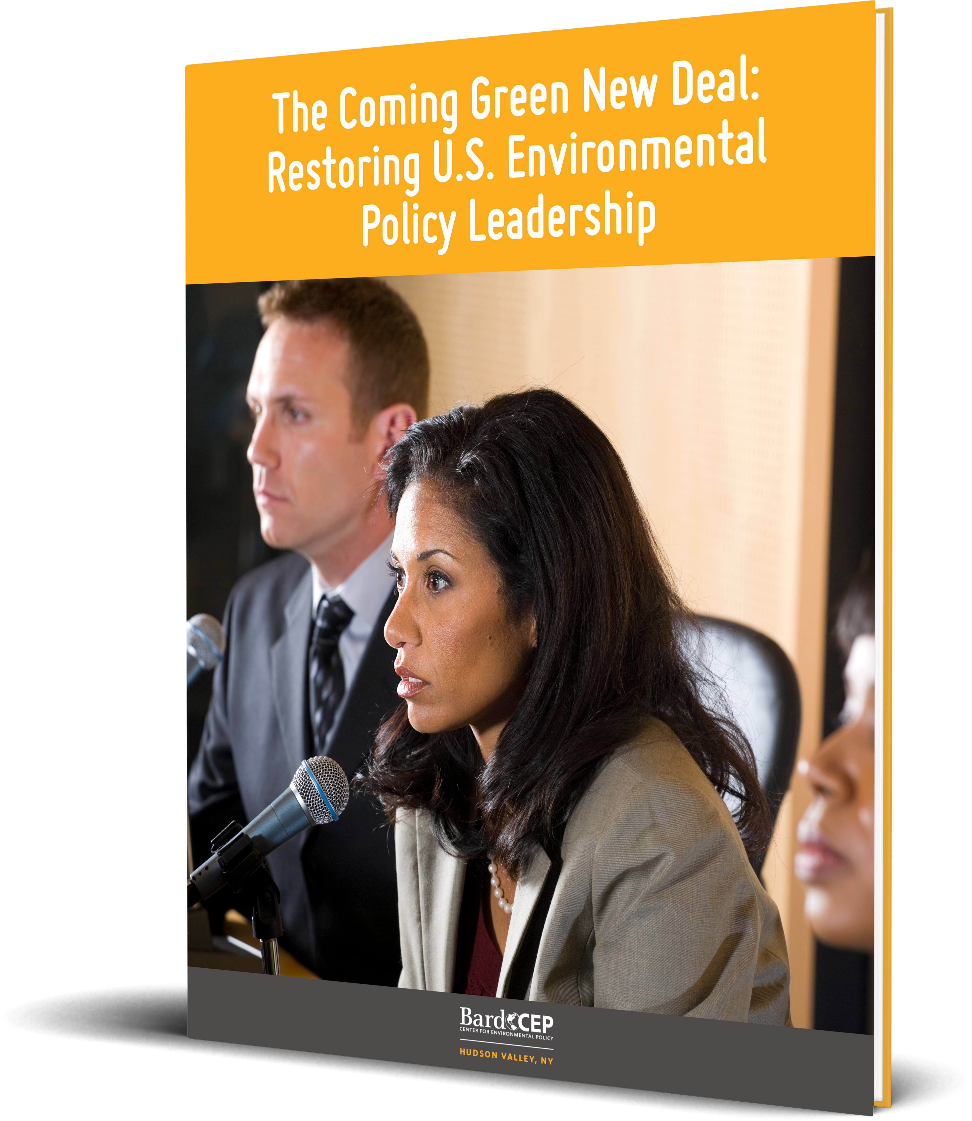 The Coming Green New Deal_Cover