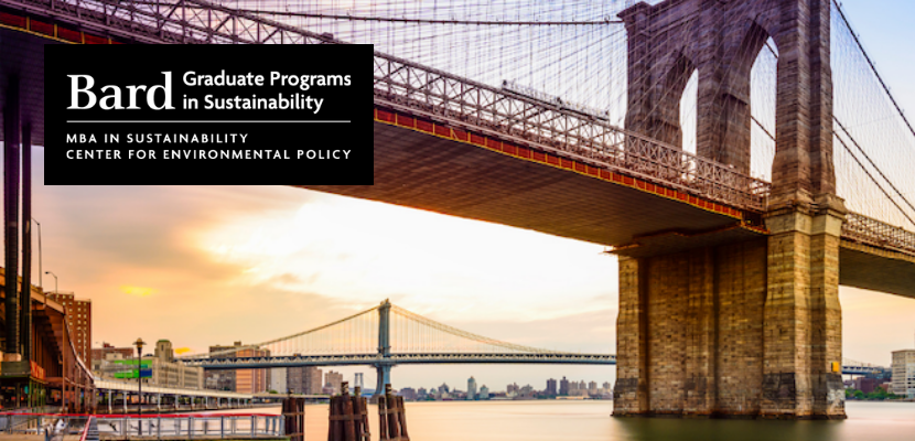 Email Header_Brooklyn Bridge-1