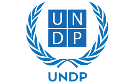 UNDP logo - edited