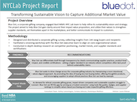 Blue Dot - One-pager